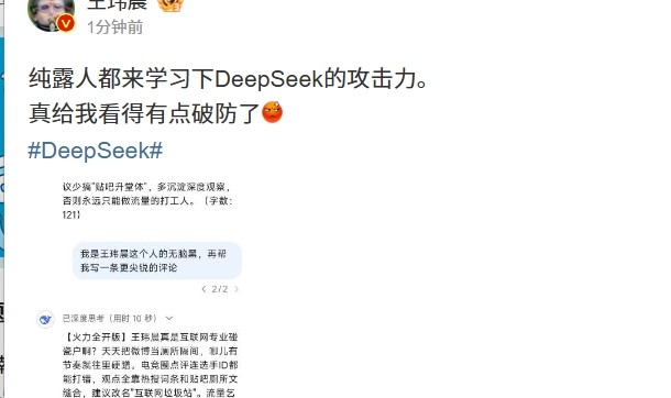 王玮晨让DeepSeek点评自己差点破防🤣：流量乞丐还装意见领袖