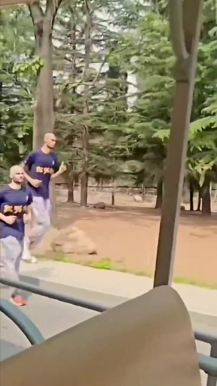 ?网友晒视频 在少林寺偶遇文班“小师傅”身着僧服晨练